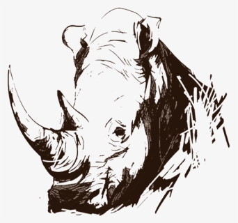Rinoceronte Grafite, HD Png Download, Free Download