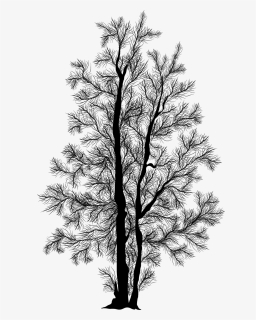Thumb Image - Silhouette Birch Tree Icon, HD Png Download, Free Download