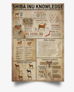 Shiba Inu Knowledge Poster"  Class= - Information Shiba Inu Facts, HD Png Download, Free Download