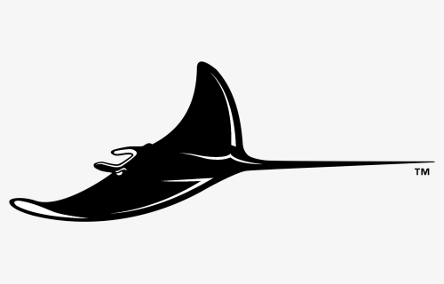 Tampa Bay Devil Rays Logo Black And White - Tampa Bay Rays, HD Png Download, Free Download