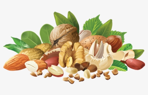 Realistic Different Nuts, Realistic Nuts, Different - Nuts Png, Transparent Png, Free Download