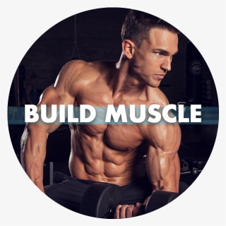 Build-muscle - Bodybuilding, HD Png Download, Free Download