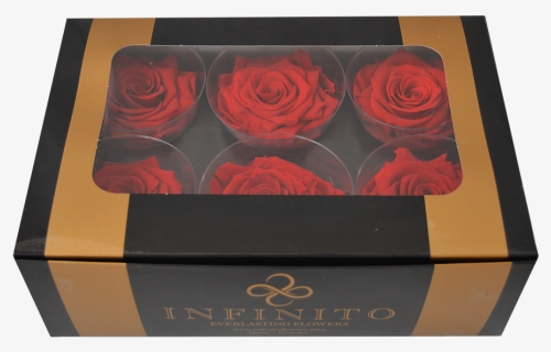 Six Red Roses Box - Garden Roses, HD Png Download, Free Download