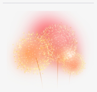 Fireworks Png Free - Close-up, Transparent Png, Free Download