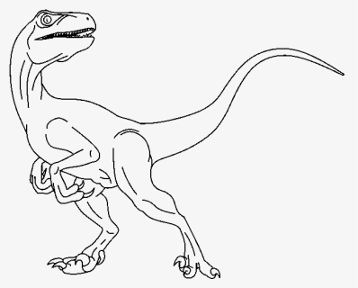 28 Collection Of Raptor Drawing Base - Dibujos Velociraptor Para Colorear, HD Png Download, Free Download