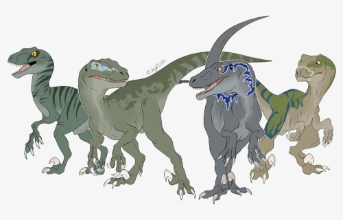 Velociraptor Drawing Jurassic Park Toronto Raptors - Jurassic World Raptors Drawing, HD Png Download, Free Download