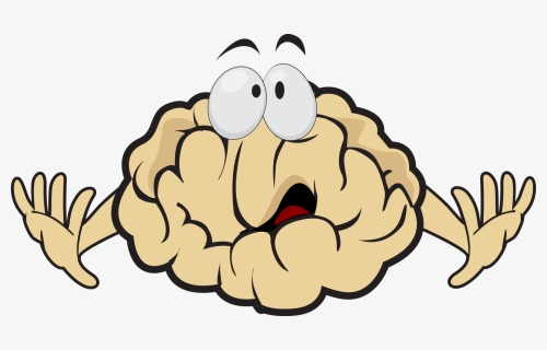 Brains Clipart Monster - Brain Illustration, HD Png Download, Free Download