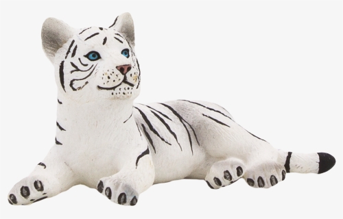 White Tiger Cub Png, Transparent Png, Free Download
