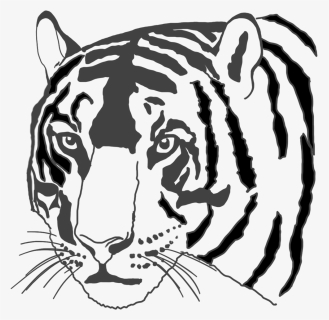 Black White-drawing Tiger Face - Siberian Tiger, HD Png Download, Free Download