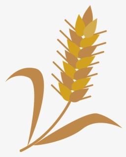 Wheat Cereal Grain Clipart - Illustration, HD Png Download, Free Download