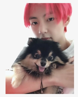 Aesthetic Taehyung And Yeontan, HD Png Download, Free Download