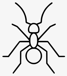 Ant - Spider, HD Png Download, Free Download