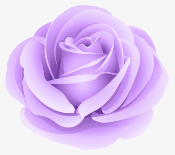 Transparent Violet Flower Png - Purple Rose Png Transparent, Png Download, Free Download