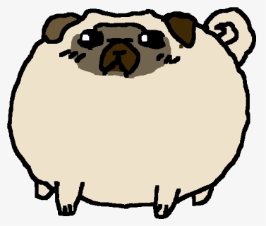 Adorable Fat Pug - Draw A Fat Pug, HD Png Download, Free Download