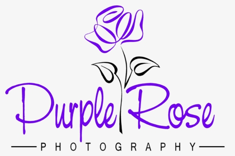 Purple Rose Photography 2purpleblk - Rose Clip Art, HD Png Download, Free Download