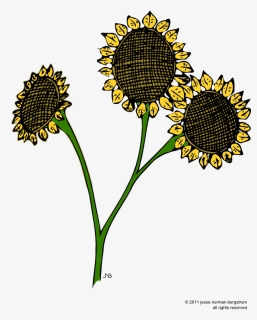 Sunflower, HD Png Download, Free Download