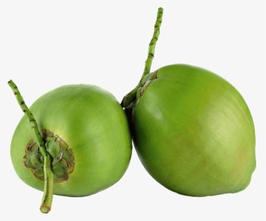 Água De Coco Png, Transparent Png, Free Download