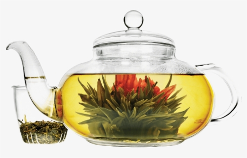 Clear Teapot Png - Transparent Glass Teapot, Png Download, Free Download