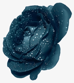 Dark Blue Rose Flower Clipart , Png Download - Purple Roses Transparent, Png Download, Free Download
