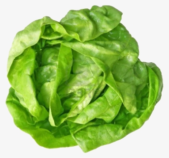 Green Cabbage Png Free Image Download - Zelena Salata, Transparent Png, Free Download