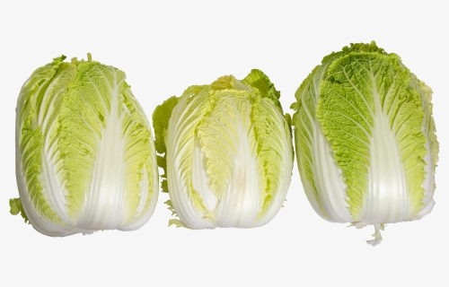 Napa-threes - Iceburg Lettuce, HD Png Download, Free Download