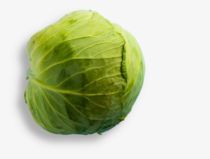 Iceburg Lettuce, HD Png Download, Free Download