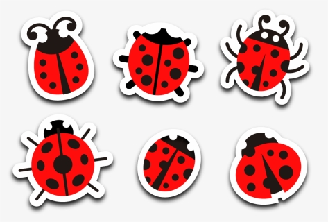Ladybug - Ladybug .png, Transparent Png, Free Download