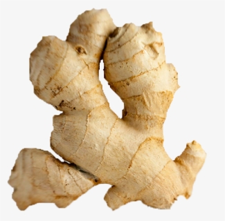 Ginger Png Image - Ginger Png, Transparent Png, Free Download