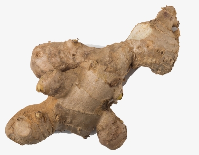 Ginger Transparent Background - Greater Galangal, HD Png Download, Free Download