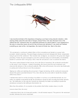 Cockroach, HD Png Download, Free Download