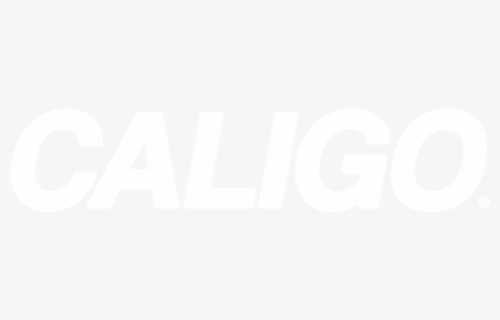 Caligo - Microsoft Teams Logo White, HD Png Download, Free Download