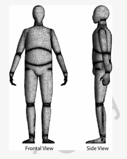 Computer Model Of Human Body, HD Png Download, Free Download