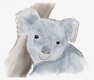 Koala, HD Png Download, Free Download