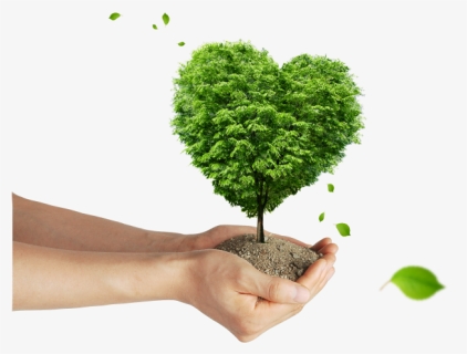Background Of Tree Planting Poster, HD Png Download, Free Download
