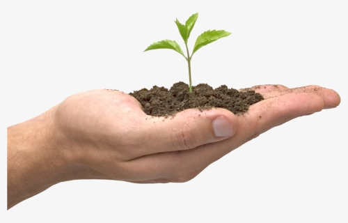 Soil In Hand Png - Seed Plant, Transparent Png, Free Download