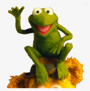 Robin The Frog Muppets, HD Png Download, Free Download