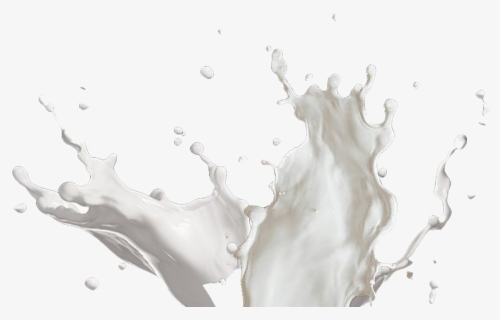 Vector Milk Splash - Transparent Milk Splash Png, Png Download, Free Download