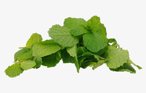 Spearmint, HD Png Download, Free Download