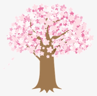 Cherry Blossoms Tree Clipart - Cherry Blossom Picnic Drawing, HD Png Download, Free Download
