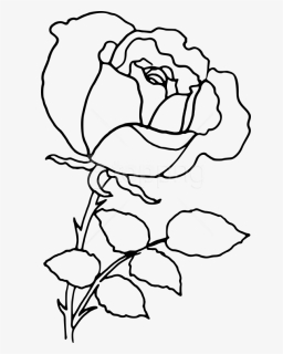 Free Png Download Png Rose Outline S Clipart Png Photo - Rose Flower Line Drawing, Transparent Png, Free Download