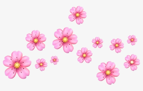Cherry Blossom Clipart Crown - Pink Flower Emoji Transparent Background, HD Png Download, Free Download