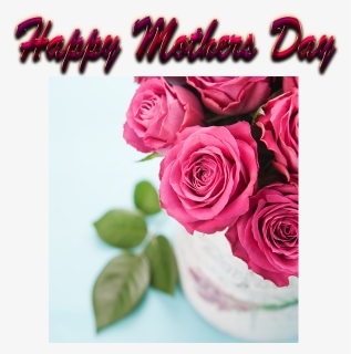 Mothers Day Greetings Png Free Image Download - Russian Roses, Transparent Png, Free Download