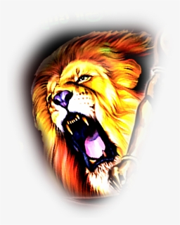 Lion Hd Png Image - Png Image Of Lion Hd, Transparent Png, Free Download