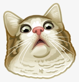Wtf Face Png , Png Download - Telegram Cat Stickers Png, Transparent Png, Free Download