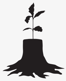 Newkind Sapling Cropped Favicon Logo - Portable Network Graphics, HD Png Download, Free Download