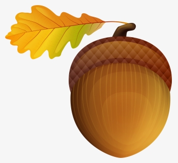 Acorn Clipart Autumn, HD Png Download, Free Download