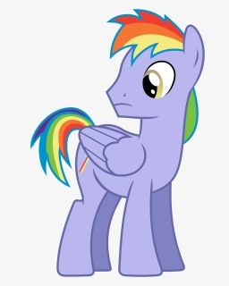 Vector By 90sigma - My Little Pony Rainbow Dash Father, HD Png Download, Free Download