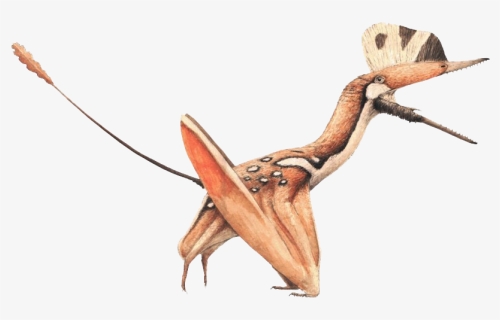 Pterosaurs Png Image - Darwinopterus Pterosaur, Transparent Png, Free Download