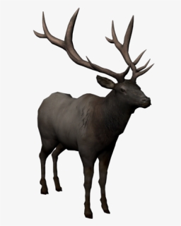 Moose Png Picture - Barren Ground Caribou, Transparent Png, Free Download