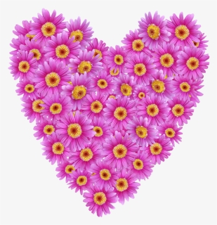 Daisies, Heart, Valentine, Romantic, Floral - Chrysanths, HD Png Download, Free Download